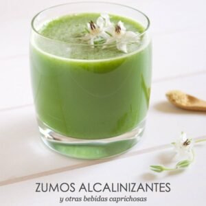 LIBRO, ZUMOS ALCALINIZANTES Y OTRAS BEBIDAS CAPRICHOSAS (ALKALINE CARE)